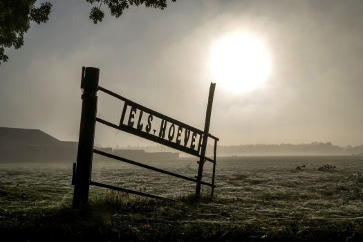 Als je vroeg opstaat, krijg je meer gedaan